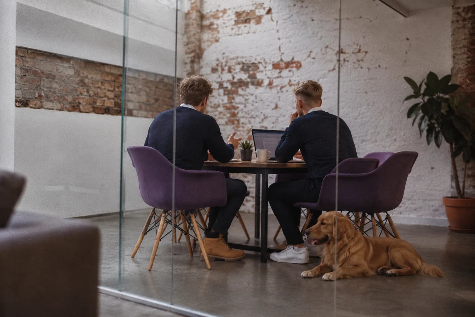The Tracer team at work: two people at a table with a laptop, seen from behind through a glass wall, and a golden retriever lying on the floor beside them